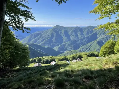 Le montagne sopra i boschi della valle