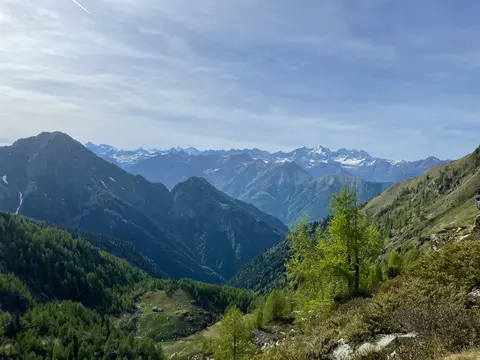 Le Alpi viste dal sentiero