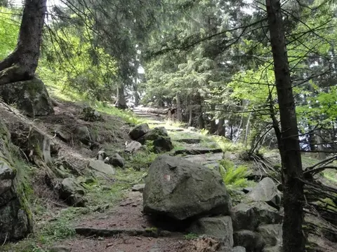 La vecchia mulattiera in pietra nel bosco