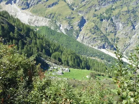 Gli alpeggi nel bosco sopra Macugnaga visti dal sentiero