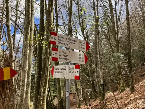 I cartelli nel bosco vicino ai Bagni di Craveggia