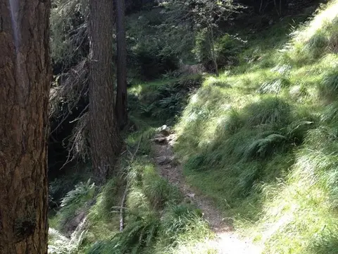 Il sentiero tra l'erba verso la cappella