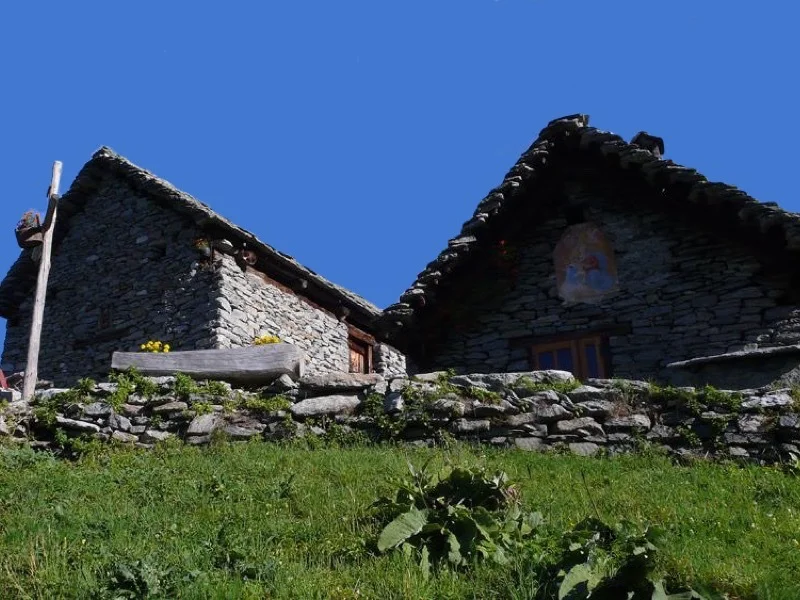 la colla aleccio