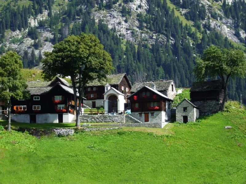 salecchio