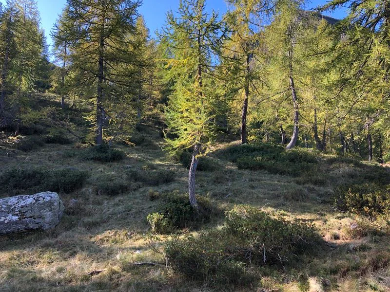 sentiero passo Arnigo