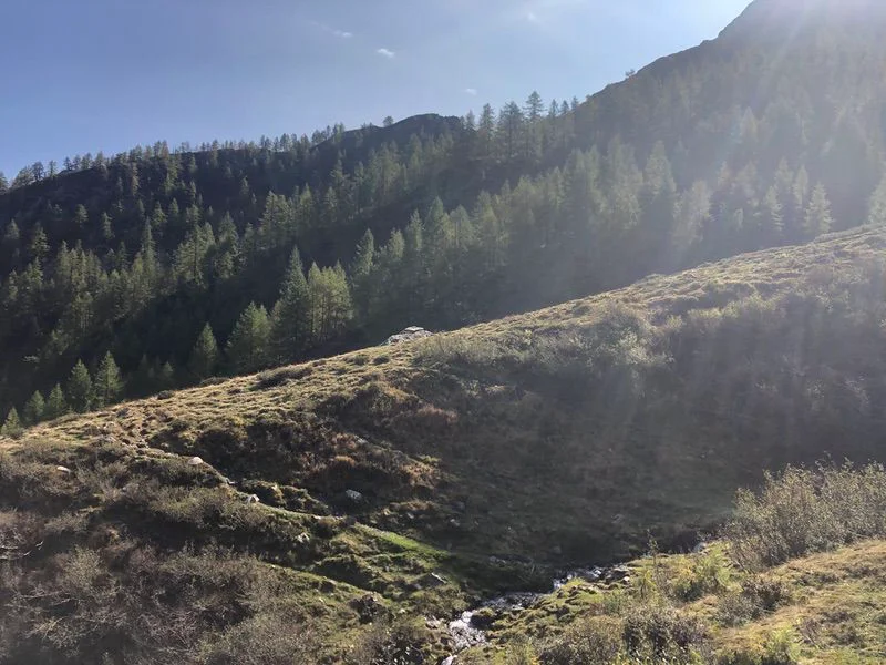 sentiero passo Arnigo