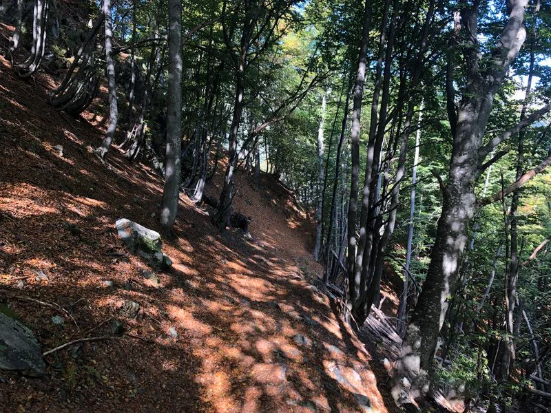 sentiero passo Arnigo