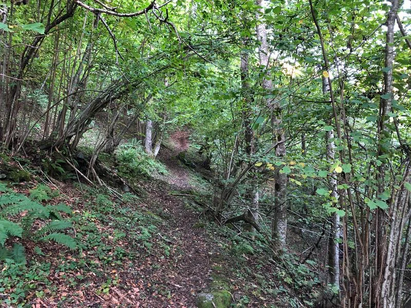 sentiero passo Arnigo
