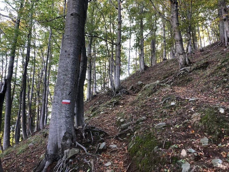 sentiero passo Arnigo