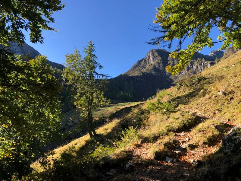 sentiero passo Arnigo