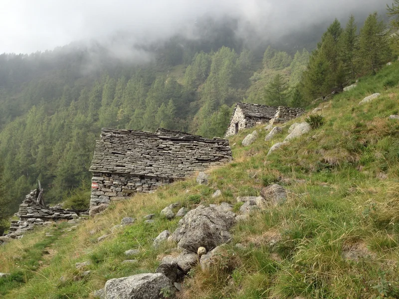 alpe oriaccia
