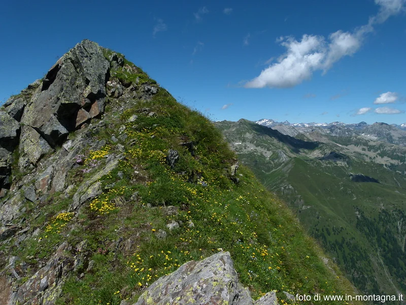 sentiero pizzo Montalto