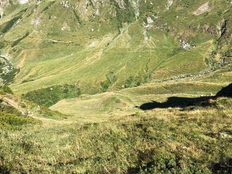 alpe campo