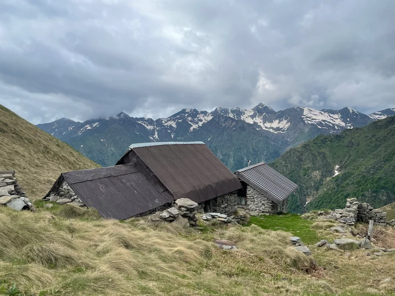 alpe campo