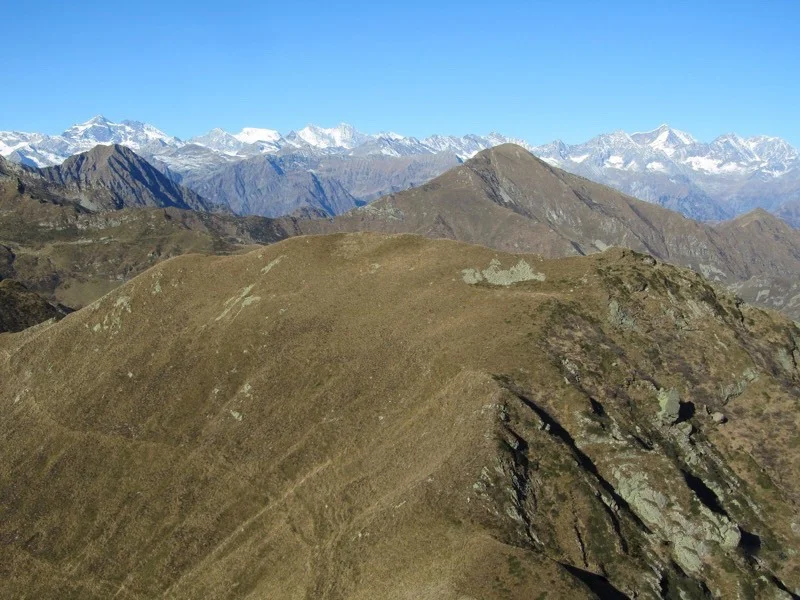 monet ventolaro