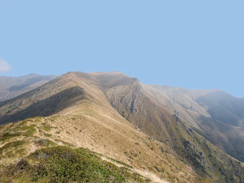 massa del turlo