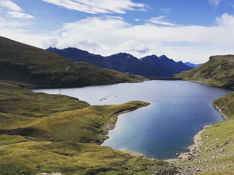 lago busin