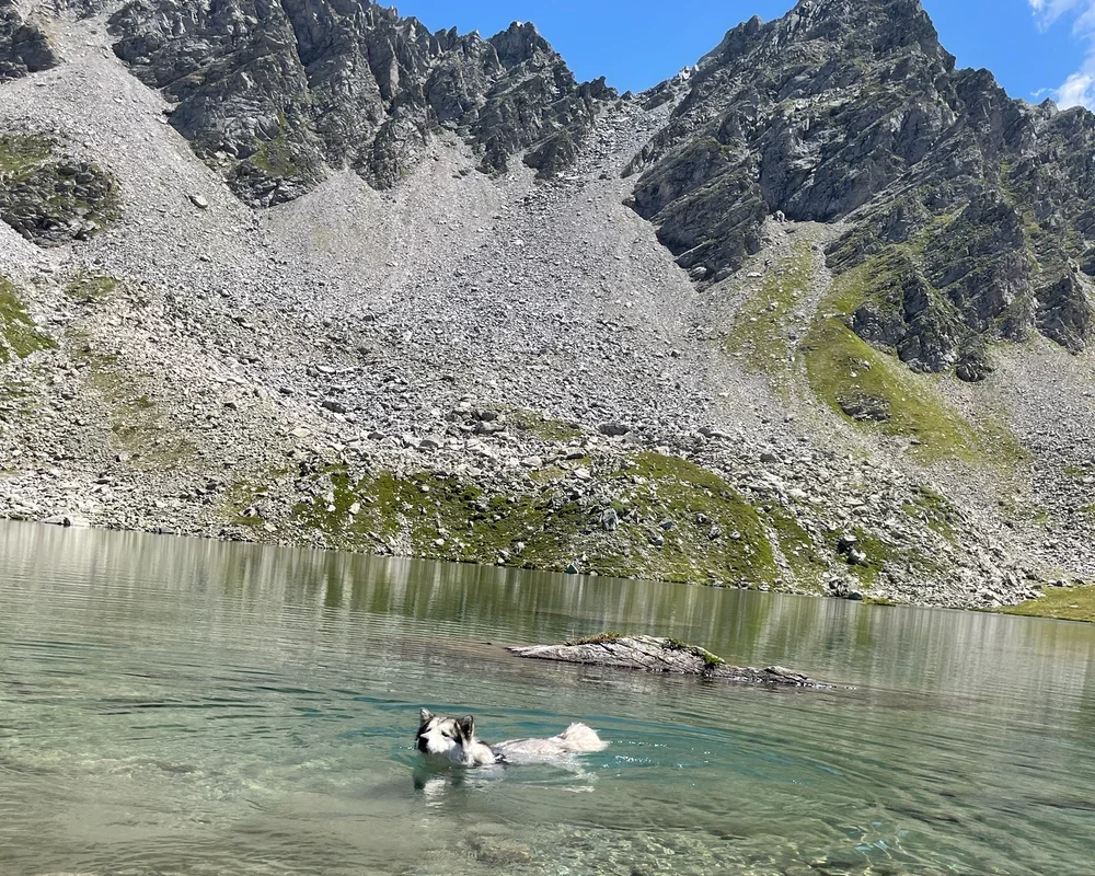 laghi Boden