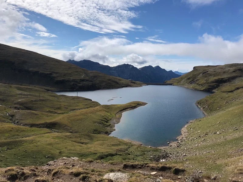 lago busin