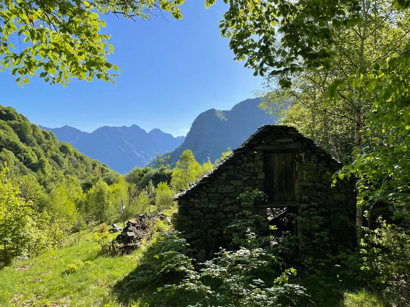 sentiero colle dell'usciolo