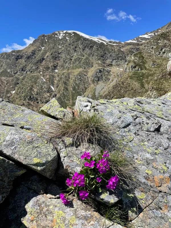 sentiero colle dell'usciolo