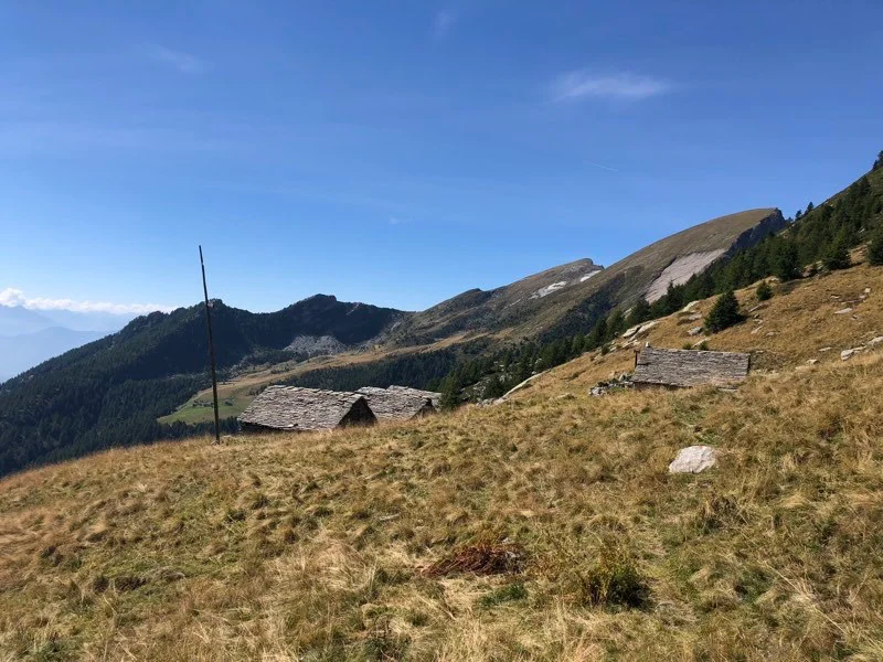 alpe fiesco
