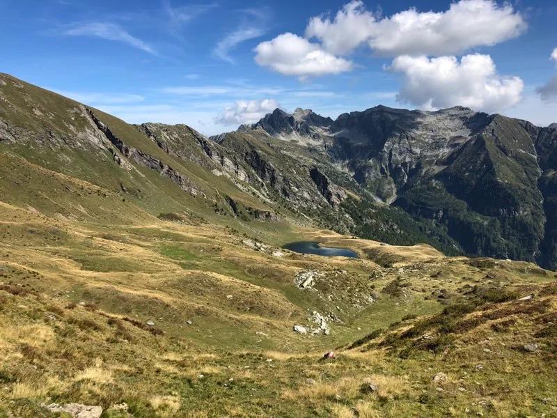 matogno