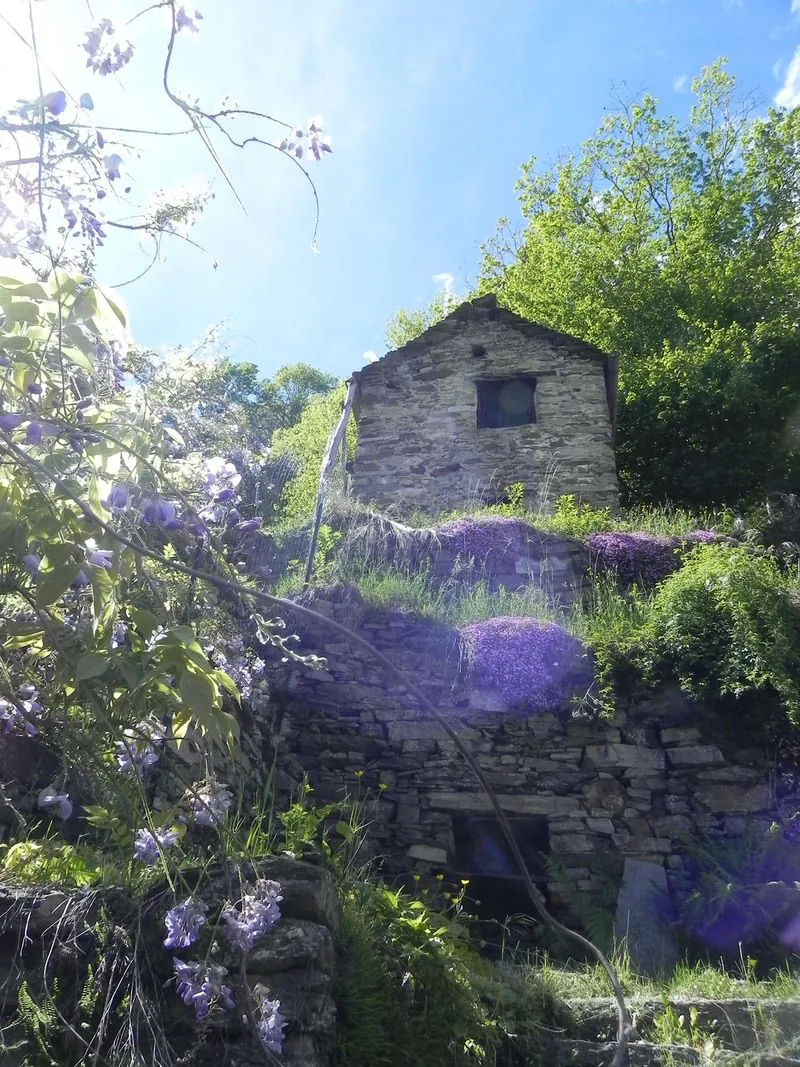 versanti di cicogna