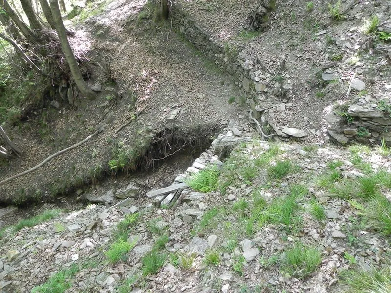 versanti di cicogna