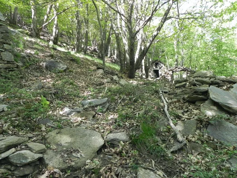 versanti di cicogna