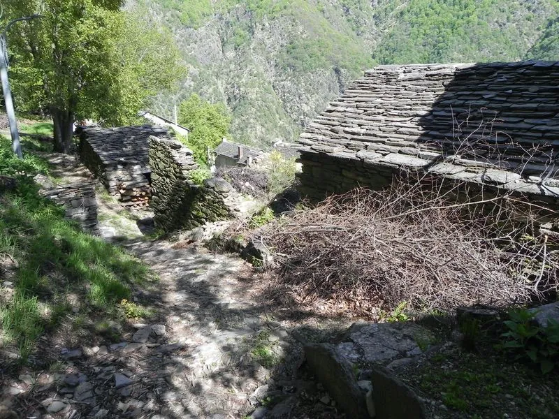 versanti di cicogna