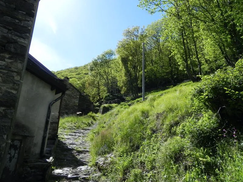 versanti di cicogna