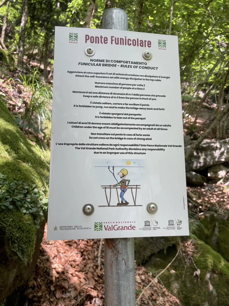 sentiero selvaggio verde