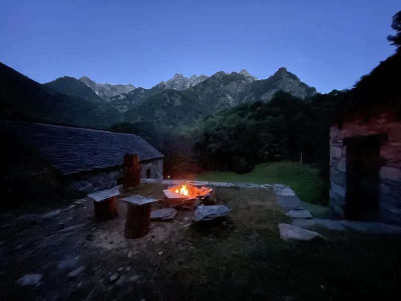 sentiero selvaggio verde