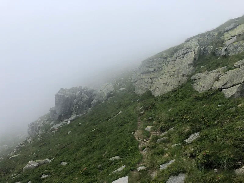 alpeggi albiona