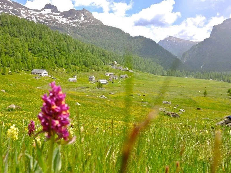 alpe veglia