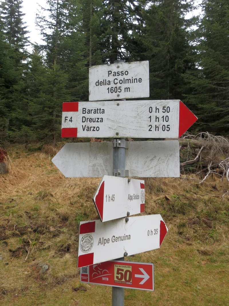 alpe genuina