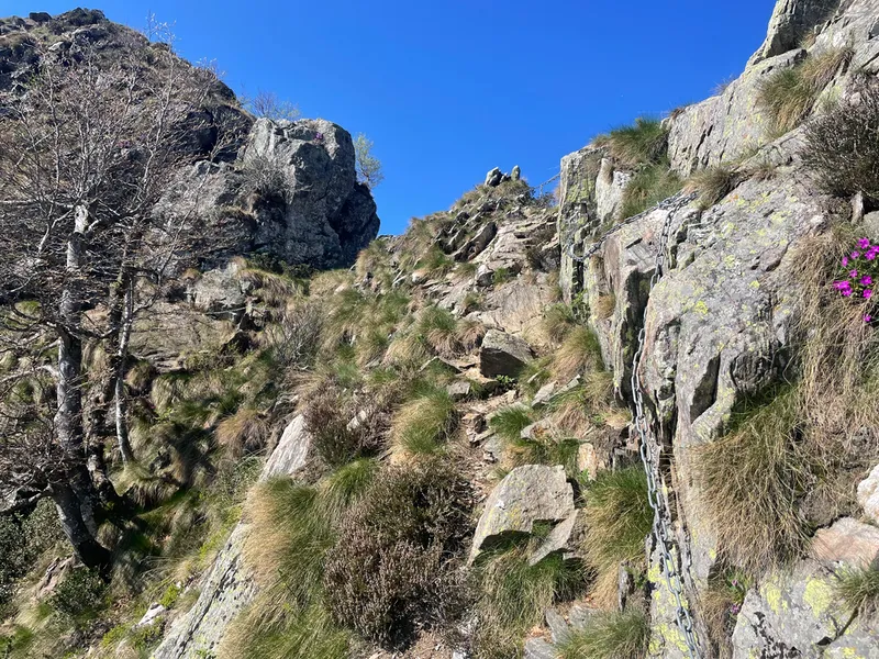sentiero cima corte san lorenzo