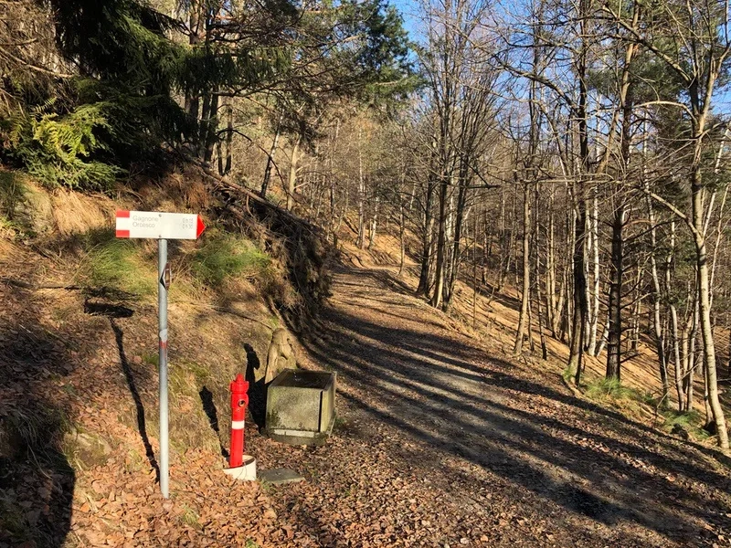 sentiero Druogno Coimo