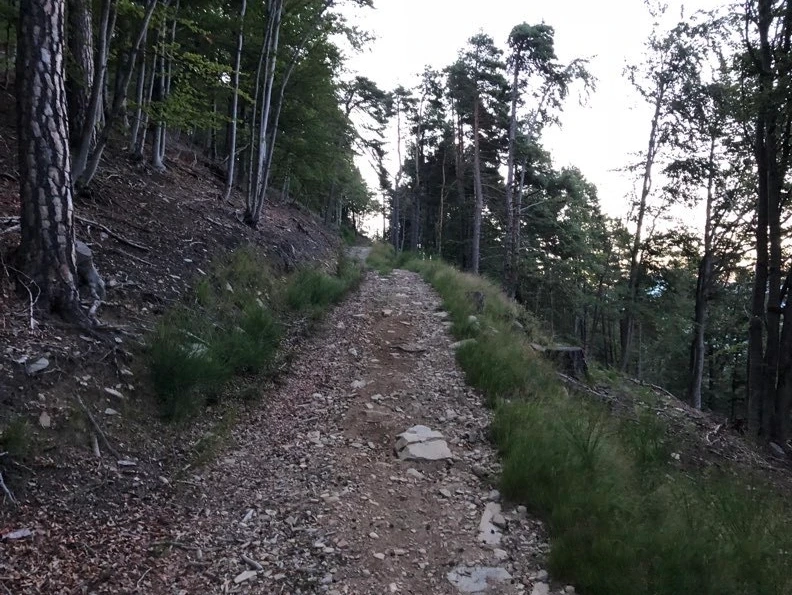 Loccia di Peve