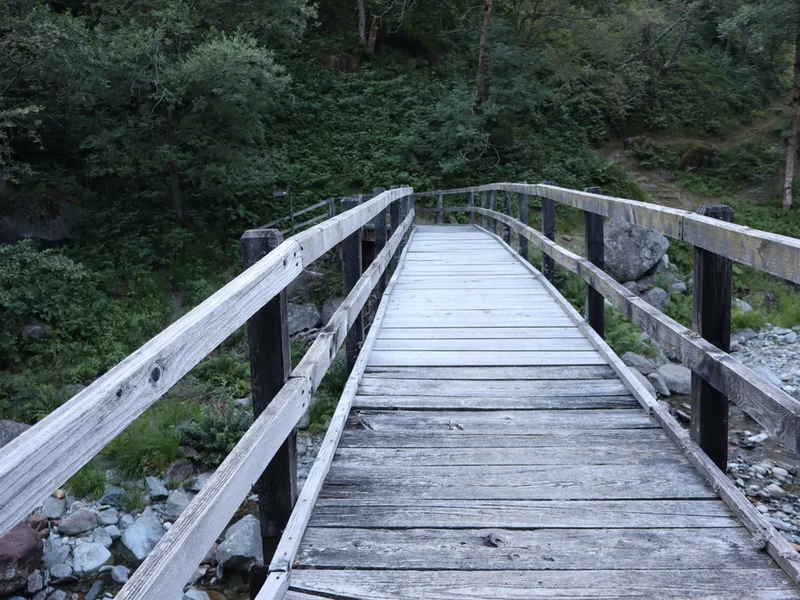 ponte patqueso