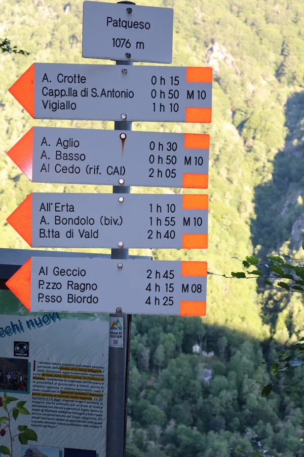 indicazioni patqueso