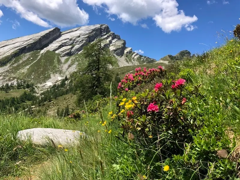 Escursione ad anello al Pizzo Ruggia da Arvogno