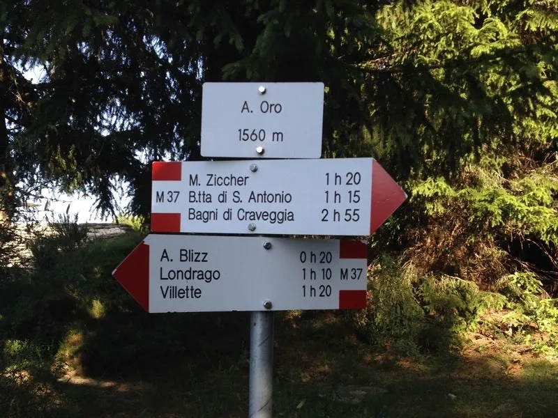 alpe oro