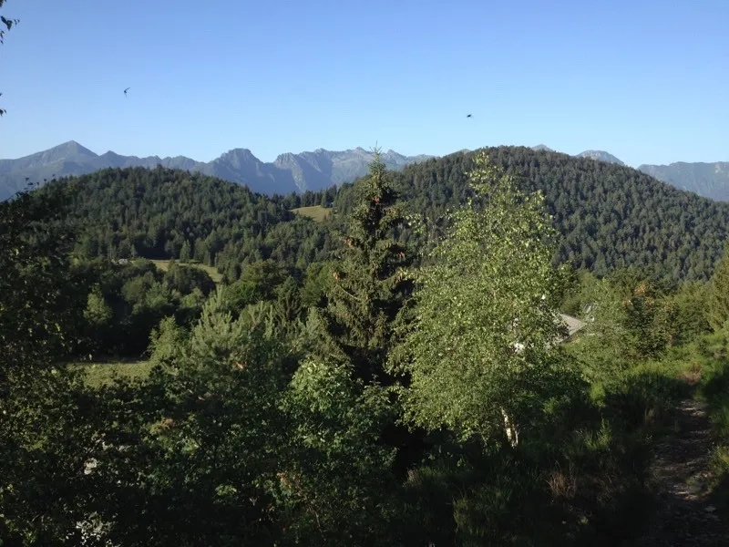 monte Ziccher