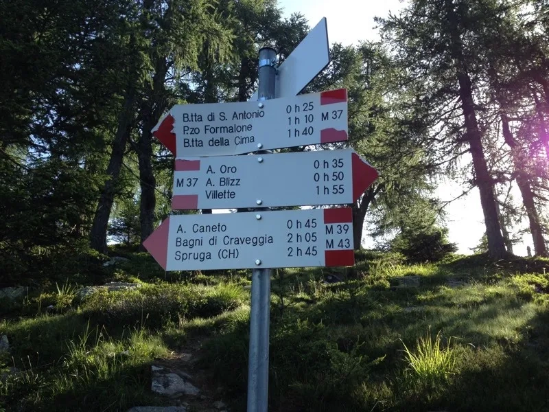 monte Ziccher