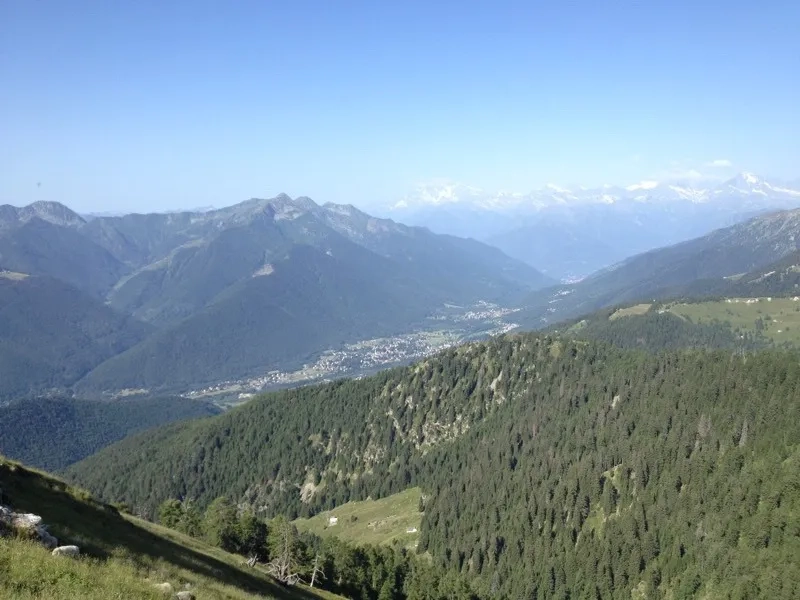 monte Ziccher