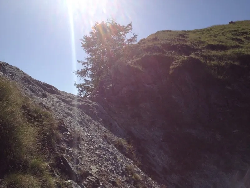 monte Ziccher